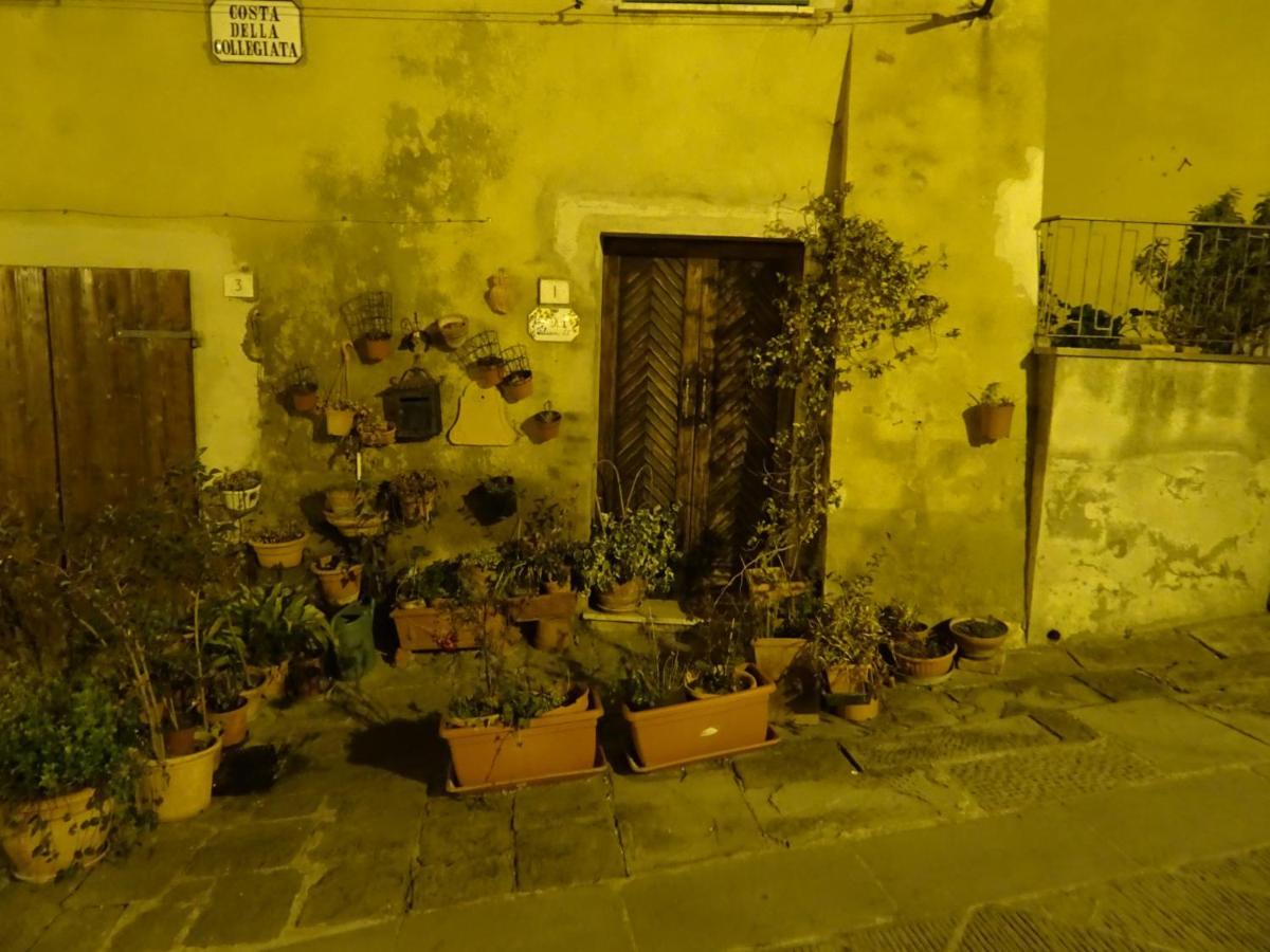 Lucignolo Apartment ลูชินญาโน ภายนอก รูปภาพ